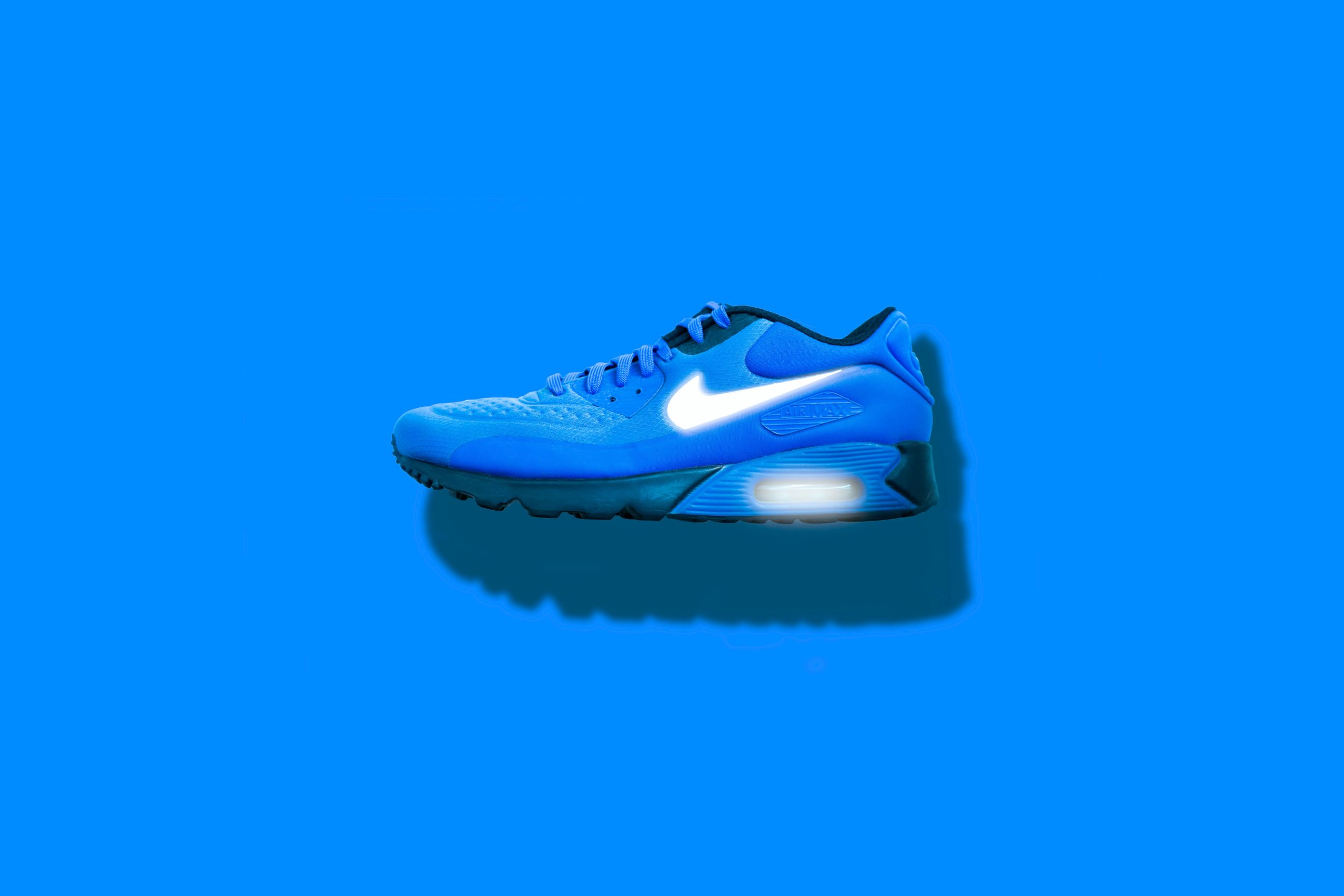 Blue Bulls